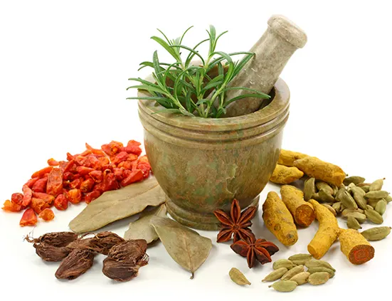 Kerala Ayur Centre - Ayurvedic Treatments & Therapies